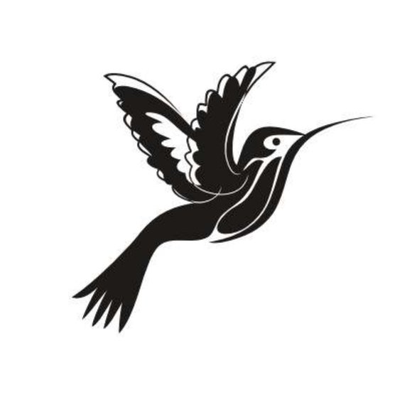 Cali Chic Women Sports Bra Criss-Cross Back Celebrity Padded Strappy Workout Run - Picture 5 of 6